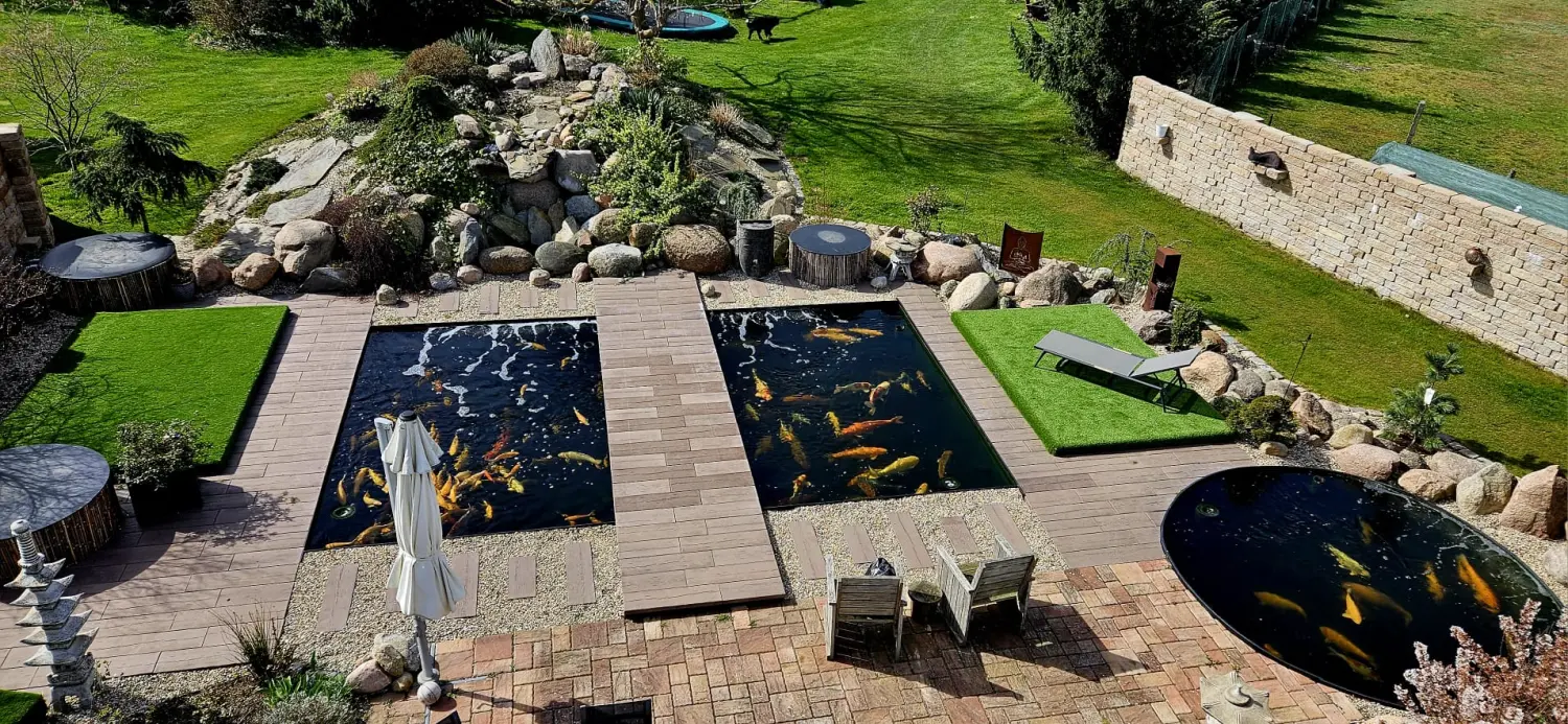 Fischteich Koi Zossen